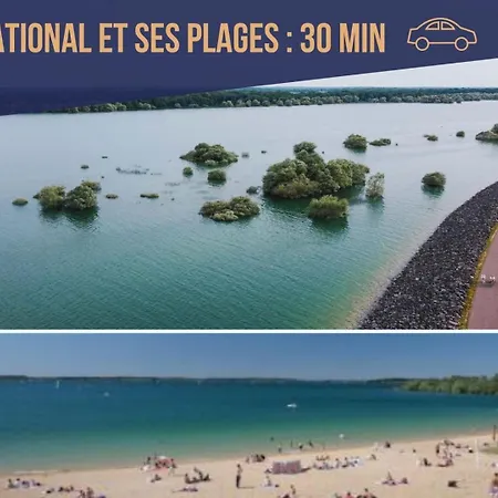Le Cocon Des Halles * Ideal Couple / Amis Ou Solo * Wifi * Elegance * Pieds Des Halles * 2 Lits * Troyes